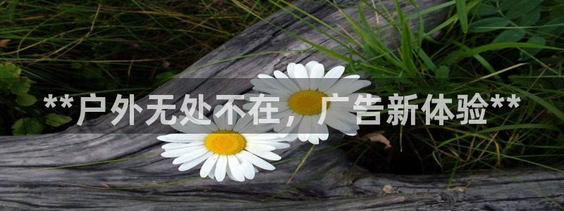 杏宇平台注册地址