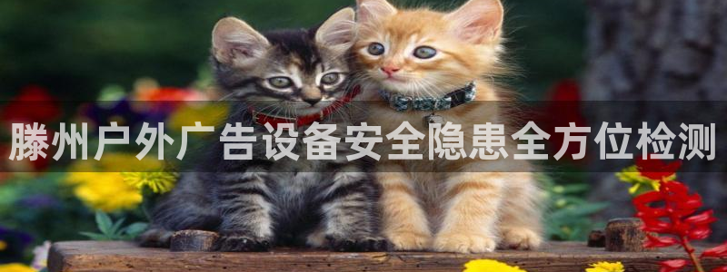 杏宇平台代理多少钱一个