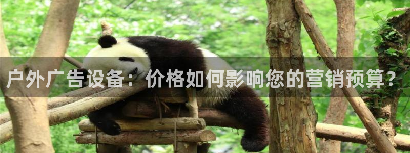 杏宇官方平台官网入口