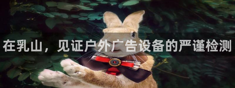 杏宇平台测速链接
