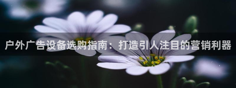 杏宇平台代理怎么样