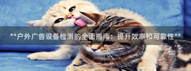 杏宇平台总代理电话：**户外广告设备检测的全面指南：提升效率和可靠性**