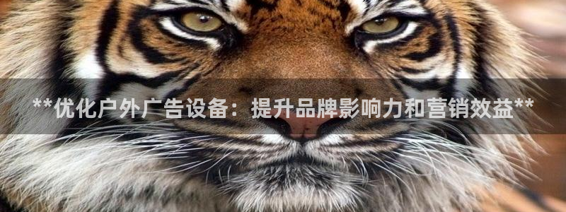 杏宇平台代理多少钱：**优化户外广告设备：提升品牌影响力和营销效益**