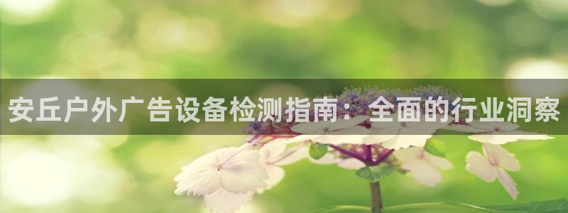 杏宇平台登录步骤：安丘户外广告设备检测指南：全面的行业洞察