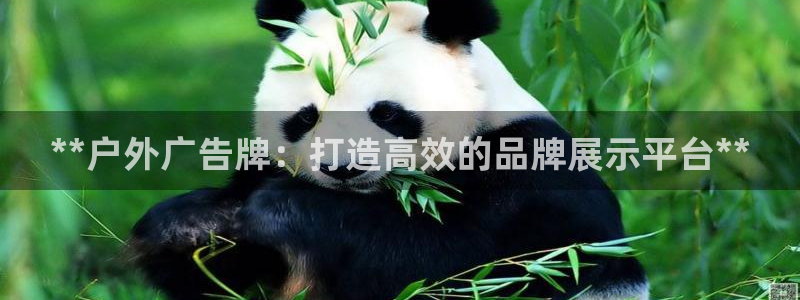杏宇平台好吗：**户外广告牌：打造高效的品牌展示平台**