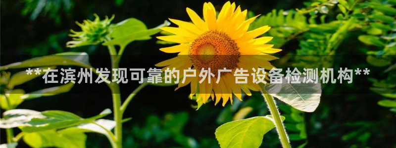 杏宇平台代理怎么样啊：**在滨州发现可靠的户外广告设备检测机构**