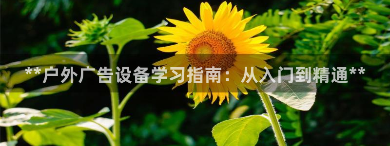 杏宇平台登录步骤是什么
