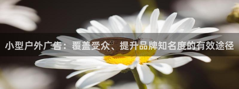 杏宇平台代理怎么样啊：小型户外广告：覆盖受众、提升品牌知名度的有效途径