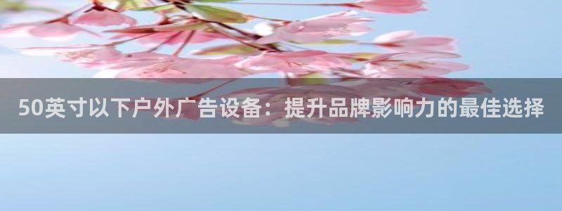 杏宇平台代理怎么样啊：50英寸以下户外广告设备：提升品牌影响力的最佳选择