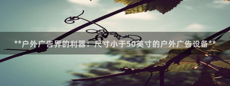 杏宇平台提现为什么这么久呢：**户外广告界的利器：尺寸小于50英寸的户外广告设备**