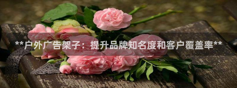 杏宇平台代理怎么赚钱快