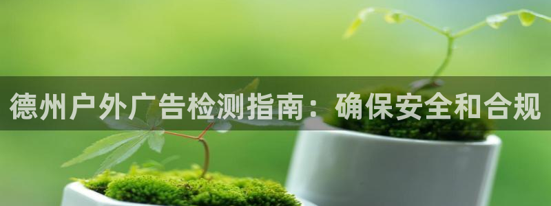 杏宇平台注册登录