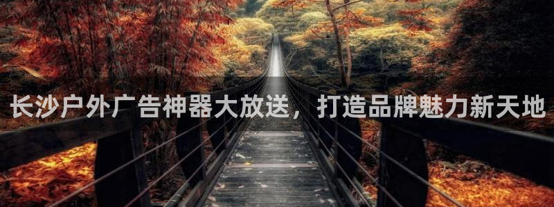杏宇平台注册地址