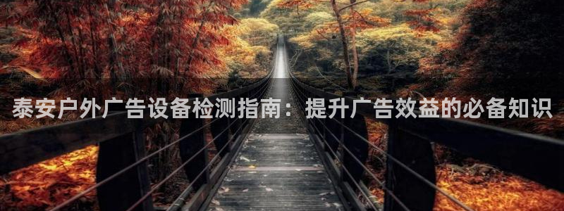 杏宇平台代理怎么赚钱的