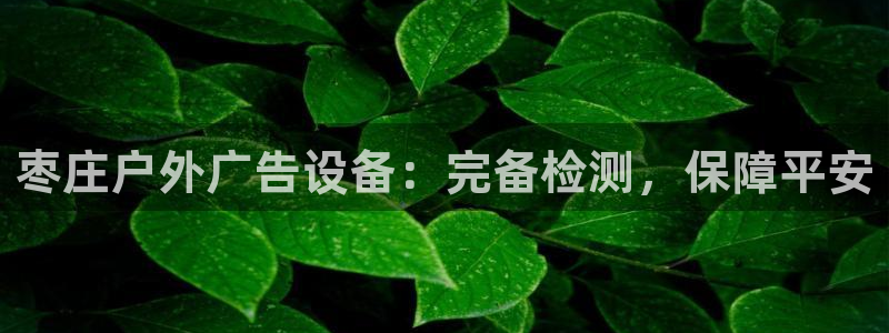 杏宇平台代理怎么样