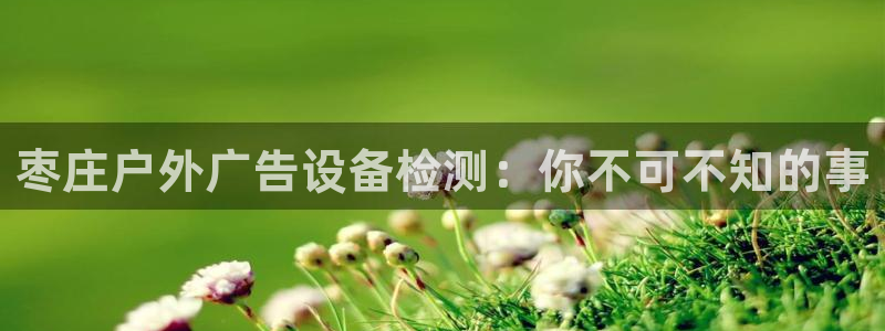 杏宇平台怎么样赚钱