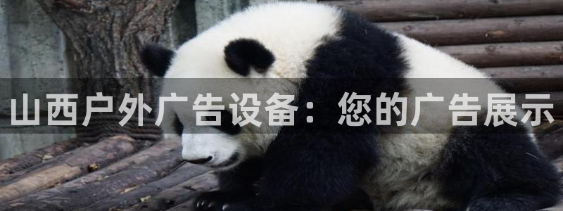 杏宇平台代理怎么赚钱