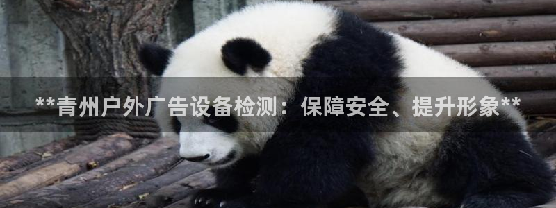 杏宇平台代理多少钱一个月