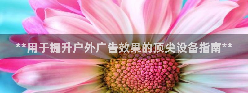 杏宇平台登录步骤图