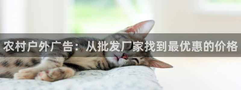 杏宇平台好吗