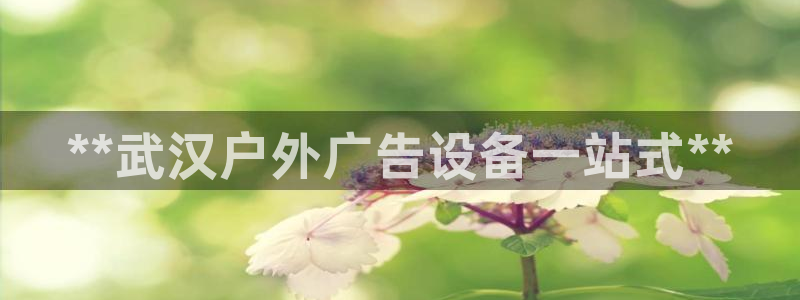 杏宇平台怎么样知乎