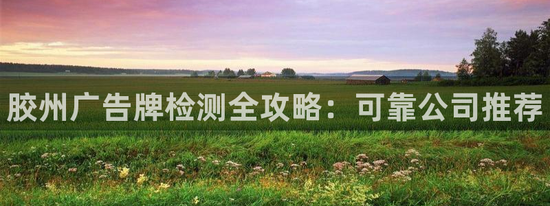 杏宇代理注册