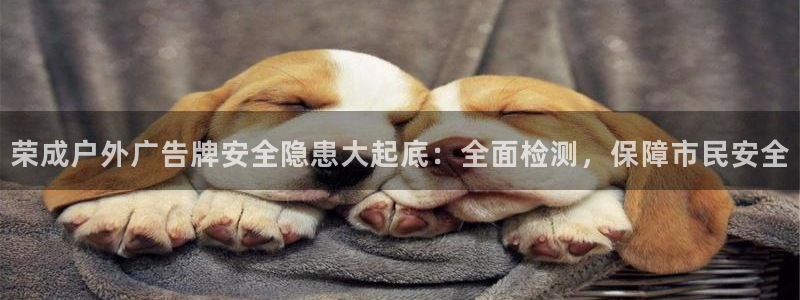 杏宇平台主管
