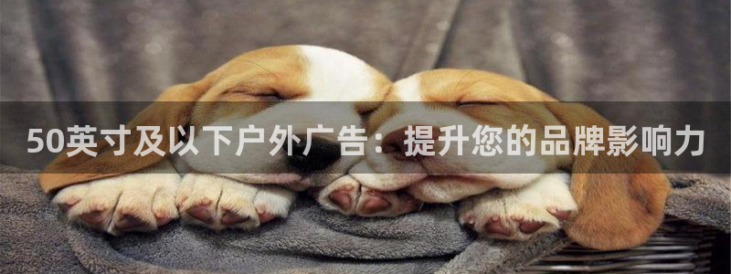 杏宇平台登录方法