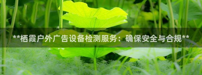 杏宇平台注册登录：**栖霞户外广告设备检测服务：确保安全与合规**