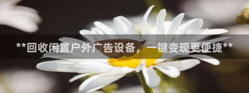 杏宇平台注册地址