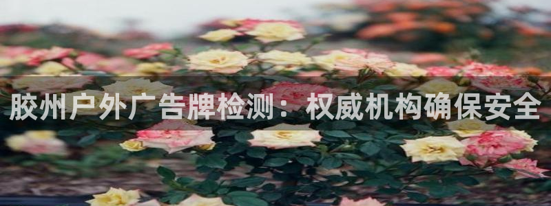 杏宇平台登陆