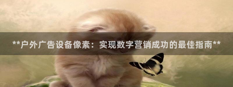 杏宇平台代理多少钱一个月：**户外广告设备像素：实现数字营销成功的最佳指南**