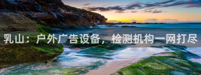 杏宇平台登录步骤图