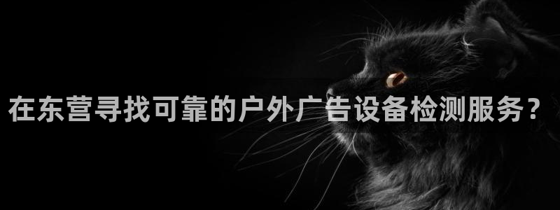 杏宇平台提现为什么这么久呢：在东营寻找可靠的户外广告设备检测服务？