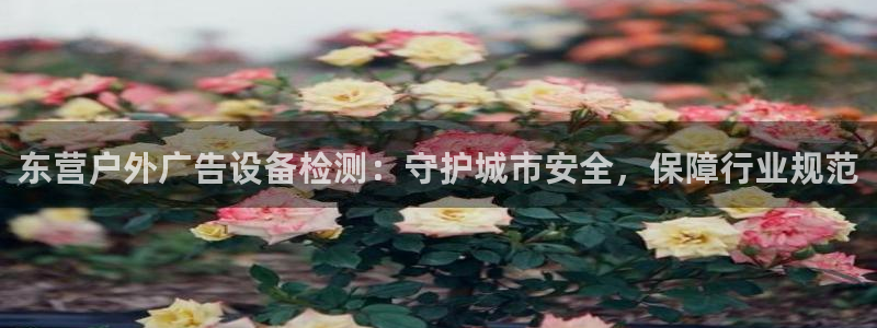 杏宇平台登录步骤