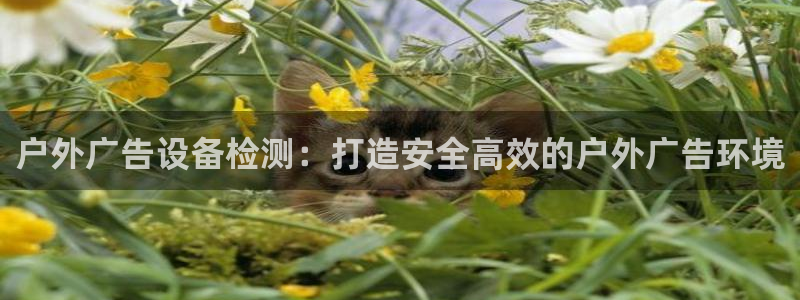 杏宇代理注册：户外广告设备检测：打造安全高效的户外广告环境