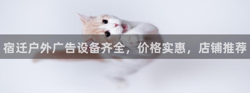 杏宇代理注册