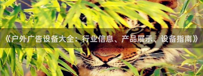 杏宇平台代理多少钱一个