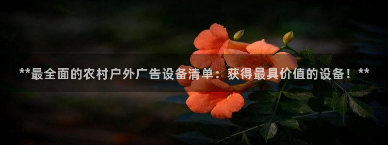 杏宇平台是什么：**最全面的农村户外广告设备清单：获得最具价值的设备！**