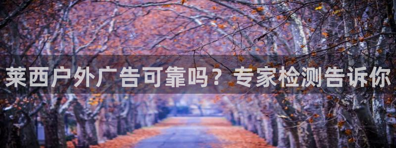 杏宇平台注册登录