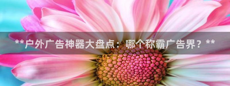 杏宇平台招商电话号码