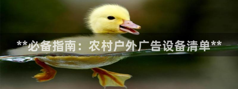 杏宇平台登录步骤是什么