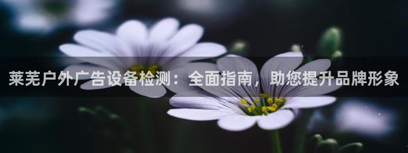 杏宇平台注册地址：莱芜户外广告设备检测：全面指南，助您提升品牌形象