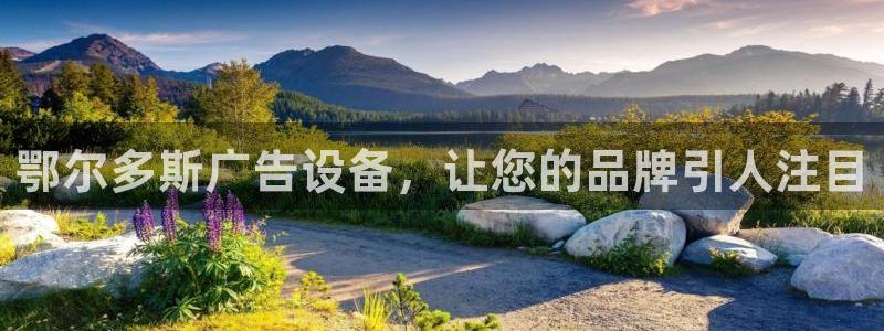 杏宇平台怎么样知乎