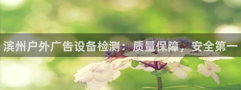 杏宇官方平台官网