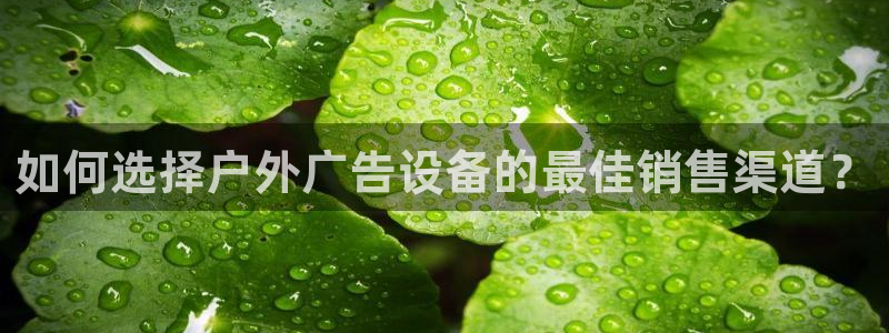 杏宇官方平台官网下载