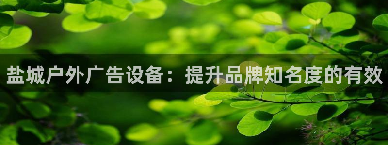 杏宇平台测速链接：盐城户外广告设备：提升品牌知名度的有效