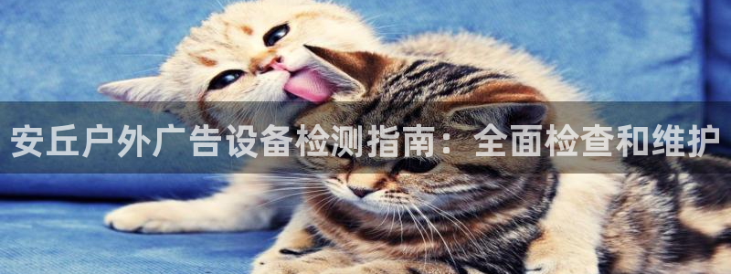 杏宇平台开户：安丘户外广告设备检测指南：全面检查和维护