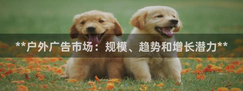 杏宇平台登录步骤