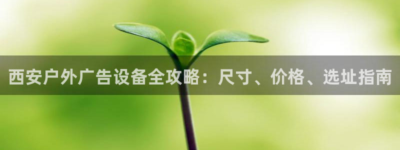 杏宇平台好吗